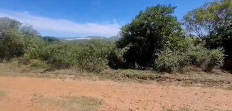 0 Bedroom Property for Sale in Oyster Bay Eastern Cape